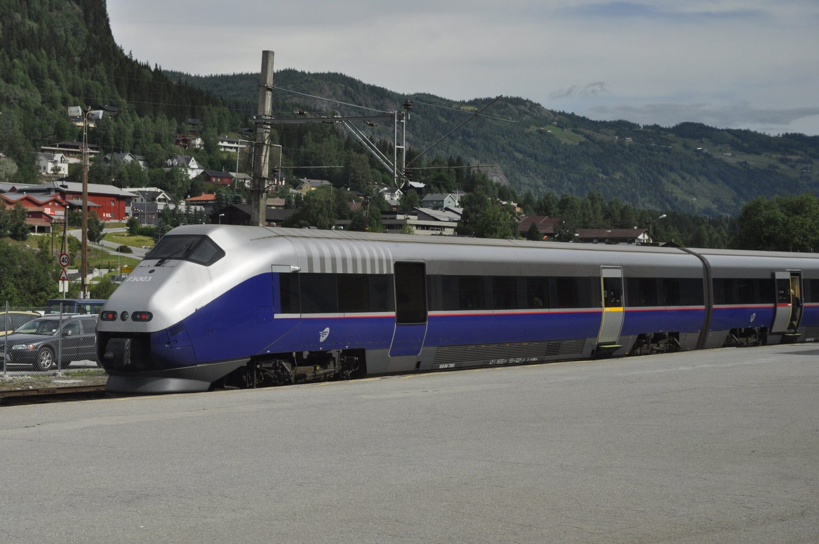 Tren de la linea de Bergen en un valle noruego en verano